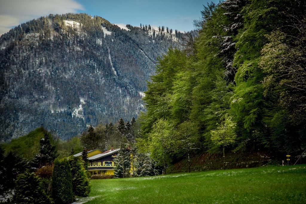 Hotel Garni Zeranka Ruhpolding Exteriör bild